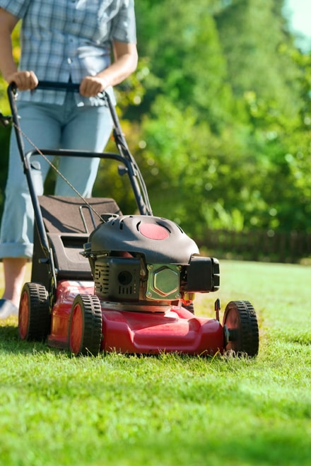 Proper mowing techniques will keep your grass looking perfect