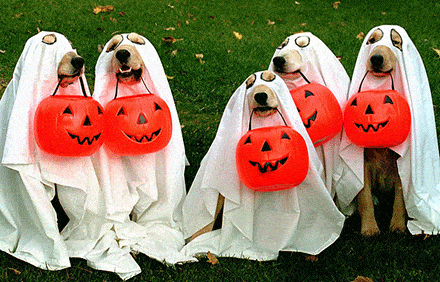 Canine and Kids Carnival featuring Trunk or Treat set for Oct. 29