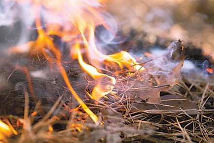 Gwinnett County issues temporary ban on outdoor burning