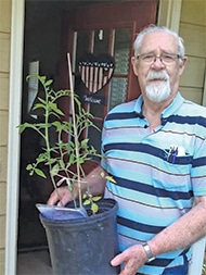Don Norris (Village of Hope, Lawrenceville) accepts three tomato plants from Candace Morgan (Duluth Historical Society). They will be passed along to some of their clients to nurture as a way of spreading the love!