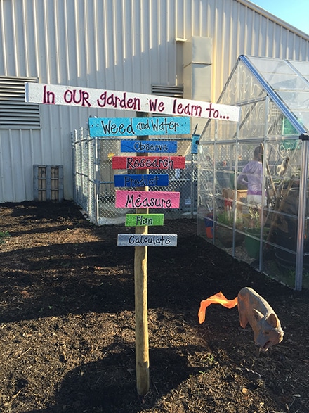 Pharr Elementary School Learning Gardens