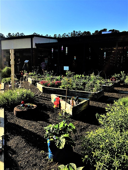 Pharr Elementary School Learning Gardens