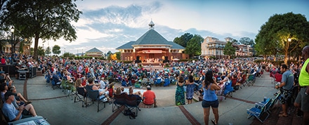 Duluth Town Green