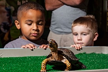 Backyard Scientists at the Tennessee Aquarium220