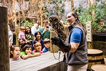 Young guests meet an owl during an Extraordinary Experience program credit John Bamber220