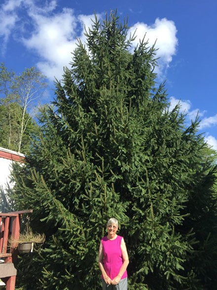Mona Clark standing in front of “Ms. Mona”, the tree she and her late husband planted years ago, just after they were married.