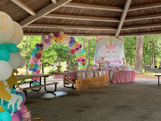 The pavilions at Briscoe Park are fun and affordable venues for birthdays, family reunions and family get-togethers.