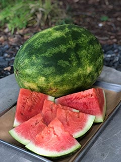 The Gwinnett County Public Schools Nutrition Program incorporates a farm-to-school process where school cafeterias purchase fresh produce one to two times each week.