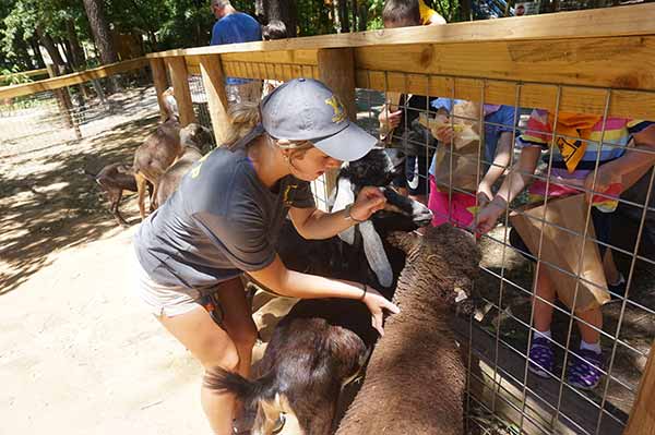 The sanctuary has staff members like Sydney Trammell assisting visitors in the barnyard petting area where goats, baby doll sheep, alpacas, and other animals live. 