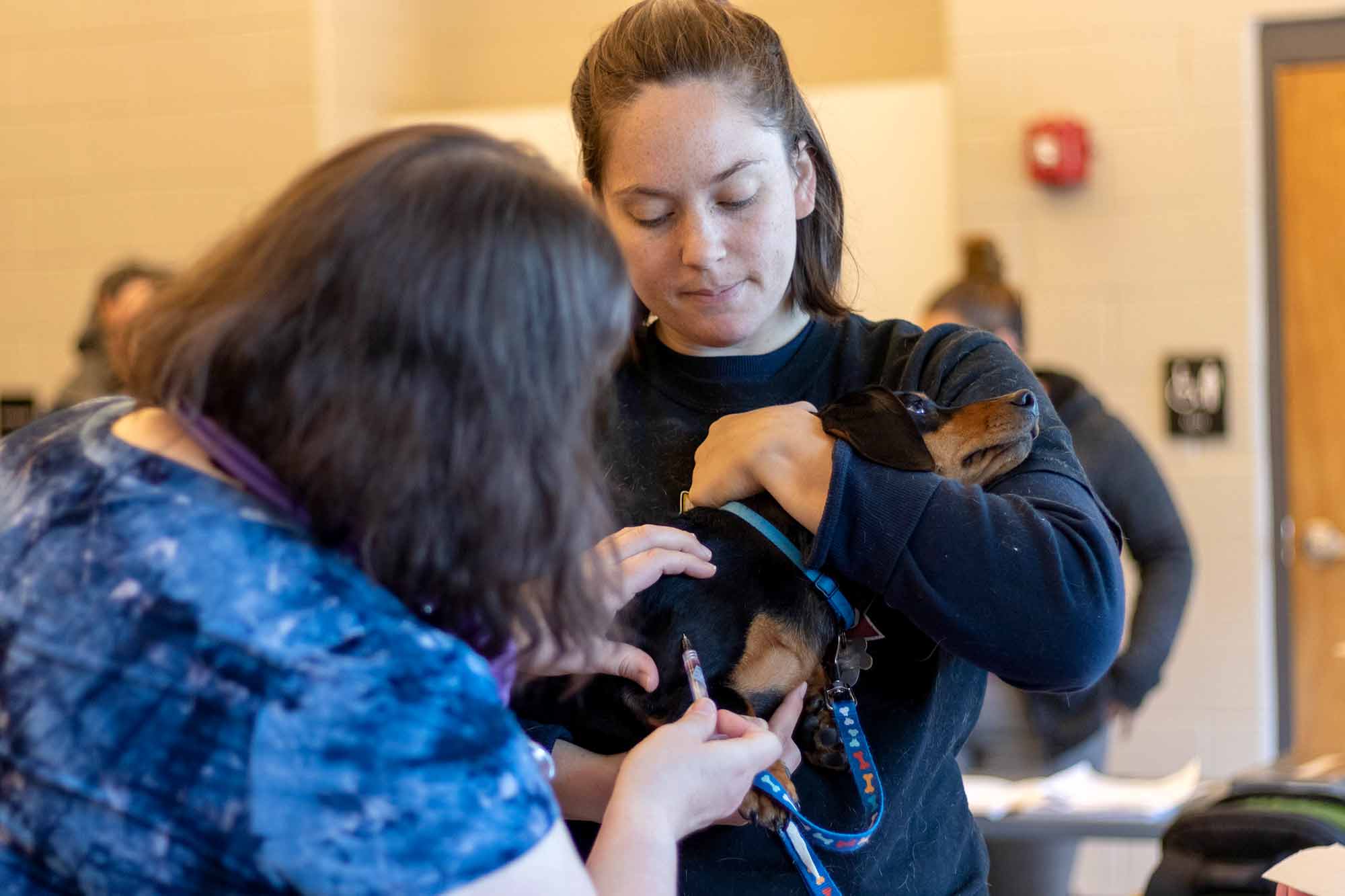 Gwinnett Animal Welfare and Enforcement offered free pet vaccinations and microchips to the first 500 animals at the Best Friend Pet and Safety Festival in 2019. Gwinnett Animal Welfare and Enforcement typically hosts and participates in local events, providing services and resources in an effort to increase community education and outreach and maintain a healthy pet population.