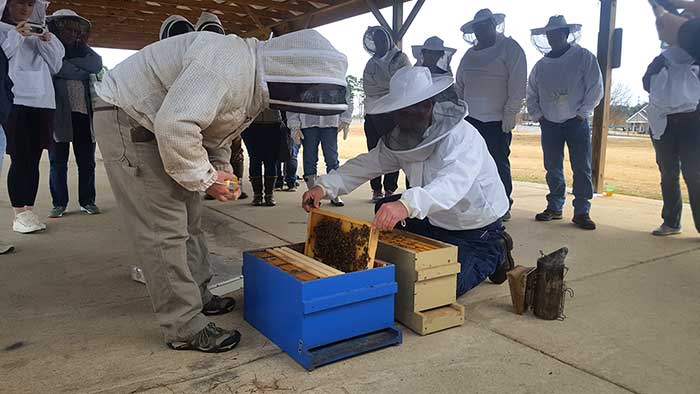 Tommy Bailey, right, a founder of the club, shows a student how to install a package of bees at the annual bee school.