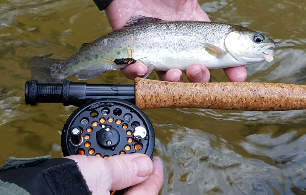 Delayed Harvest Trout Fishing November 1 - May 14