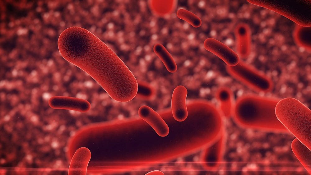 Superbugs Are Getting Stronger. Our Defenses Are Getting Weaker