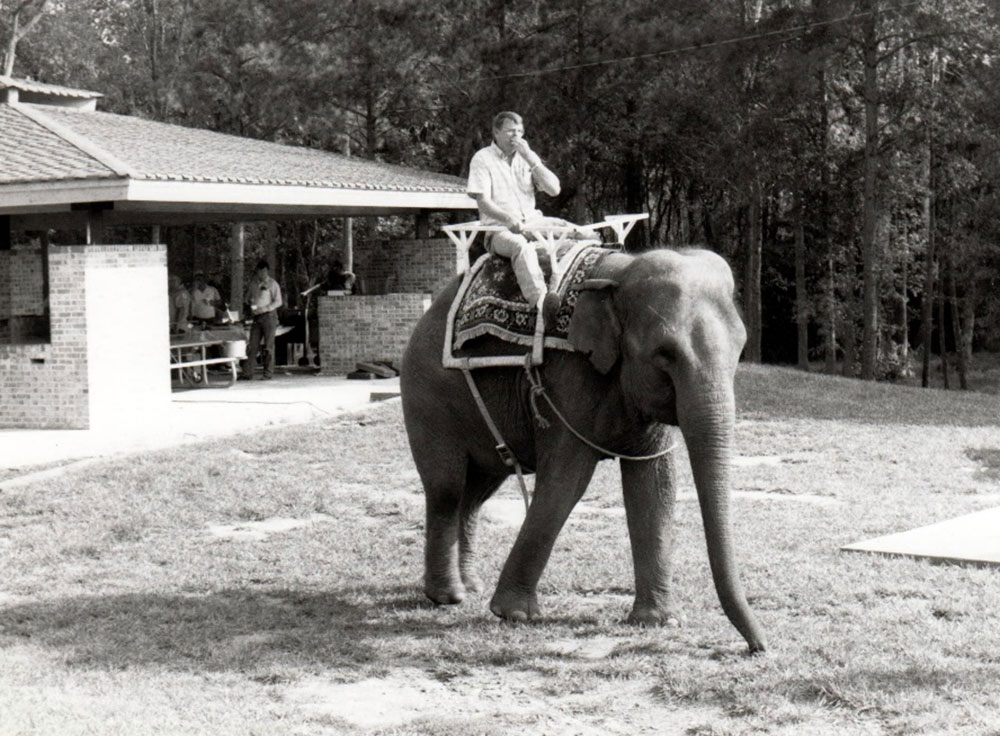 Lilburn Daze 1985 promoted an International Theme complete with elephant rides for children.