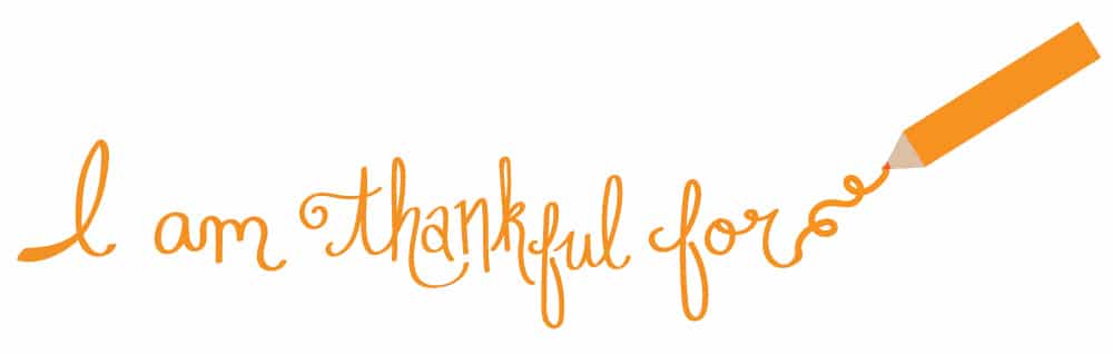 Hey Y'all:  A celebration of gratitude and thankfulness