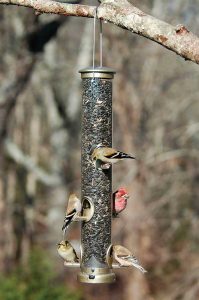 17241-detail-image-embed1 Bird Feeder H FF - Photo Courtesy Cole's Wild Bird Products